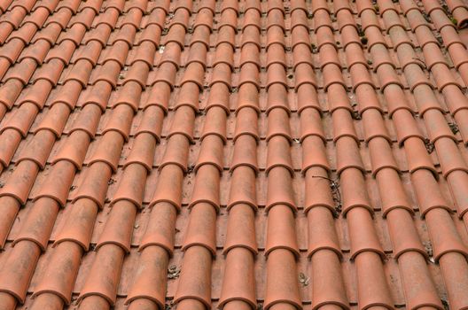 Background of clay round tiles covered roof.
