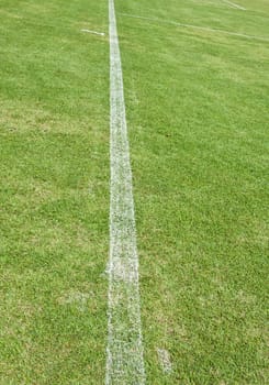 white line in soccer field