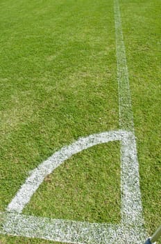 white line in soccer field