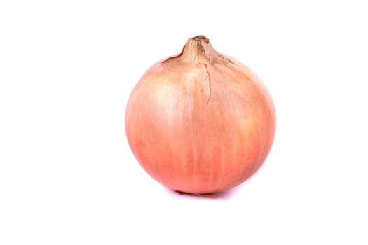 Close up view of an onion isolated on a white background.