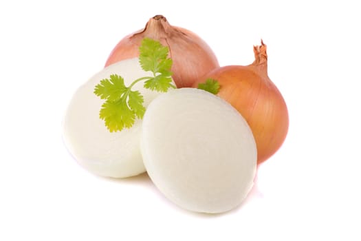Close up view of an onion isolated on a white background.
