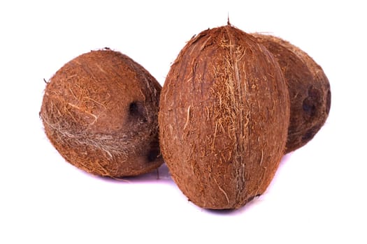 Close up view several coconuts isolated on a white background.