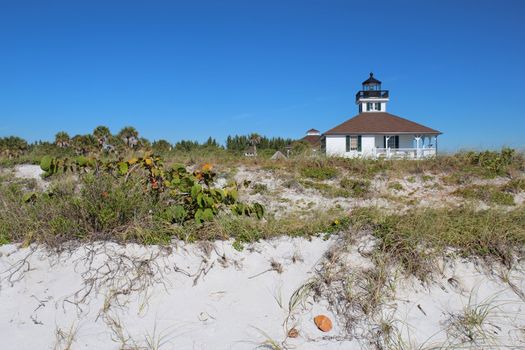 The Port Boca Grande Lighthouse on Gasparilla Island, Florida viewed from the sand dunes with sea oats (Uniola paniculata) and sea grape (Coccoloba uvifera) in the foreground and a clear blue sky