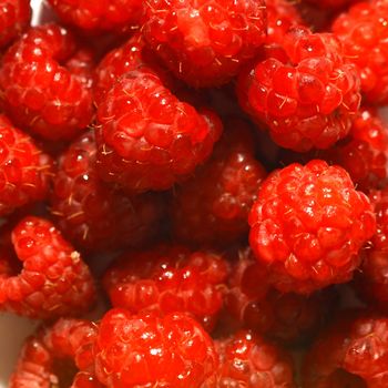 red wild raspberry macro close up 