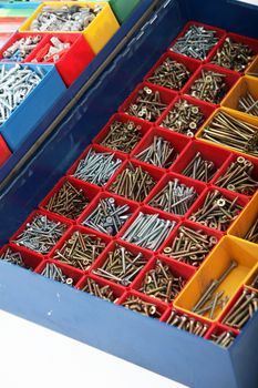 Large toolbox with segregated new metal long bolts and screws of different sizes and types