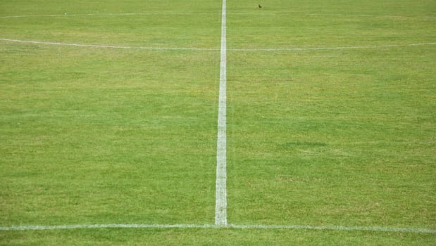 white line in soccer field