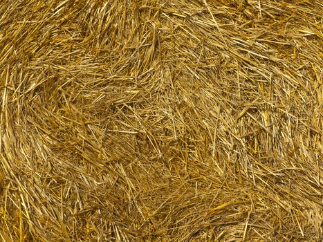 Golden background from a bale of fresh straw