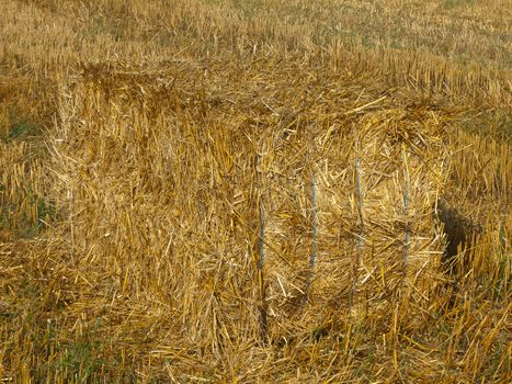 Rectangular stack of straw in the field after harvest