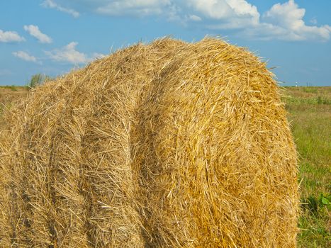 Straw bale in the field after a harvest