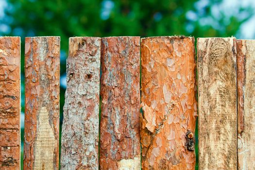 part of the fence of coarse rough pine boards