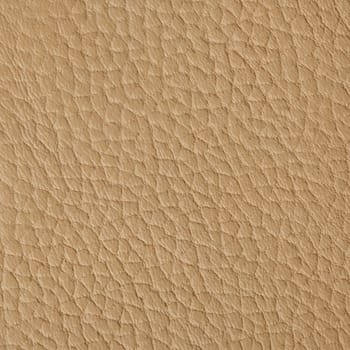 Leather texture background closeup