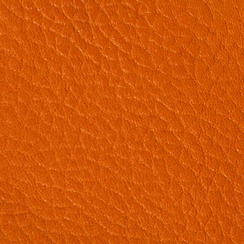 Leather texture background closeup