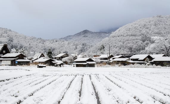 a snow filled plantation with traditional village housees and mountain at the background