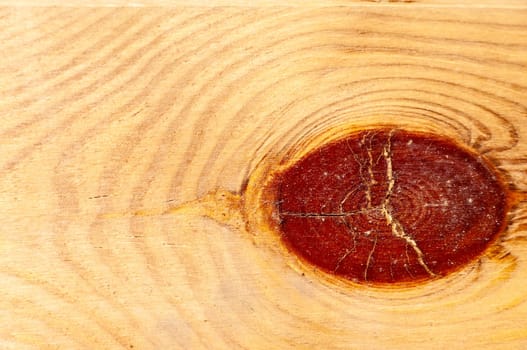 Background - big knot in wood, closeup.