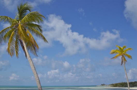 Horizon framed by two palm trees in paradise with turquoise ocean and white sands, against a blue sky, creating the perfect landscape with copy space.