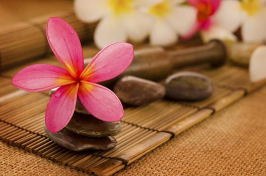 Tropical spa with Frangipani flowers. Low lighting, suitable for spa related theme.