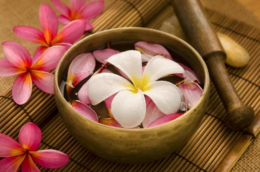 Tropical spa with Frangipani flowers on water. Low lighting, suitable for spa related theme.