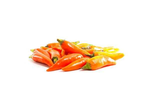 red hot chili pepper shrink isolated on a white background