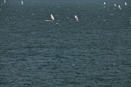 Windsurfing in the Lake Garda