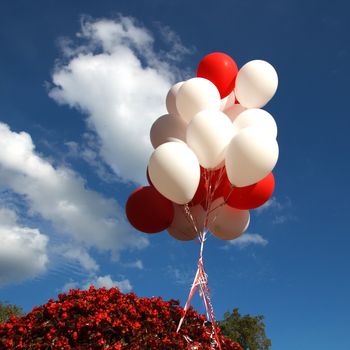 colorful balloons against blue sky