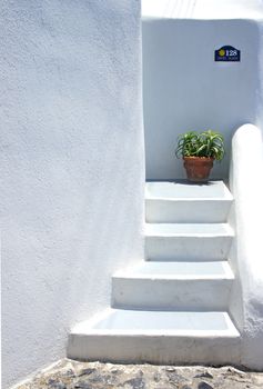 Houses of Santorini in details, pot with flower on the stairs              