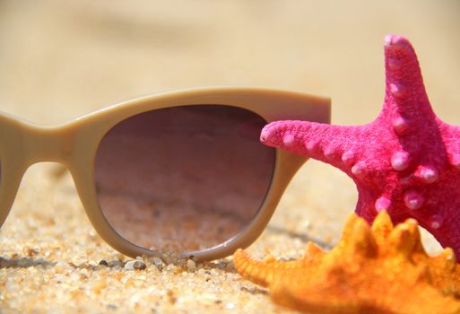 Relaxation on the beach � sunglasses lying near pink and orange sea stars

