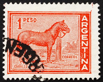 ARGENTINA - CIRCA 1959: a stamp printed in the Argentina shows Domestic Horse, circa 1959