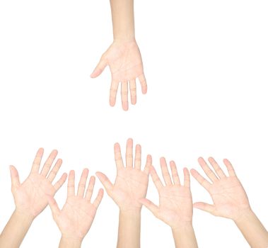 hand isolated