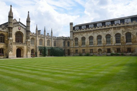 University quadrangle and lawn