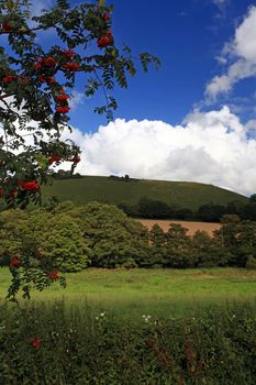 English countryside view over Cerne abbas fidelity giant