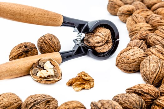 A composition of walnuts, cracked walnuts and a nutcraker