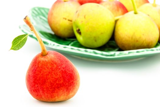 Lots of little ripe pears on white background