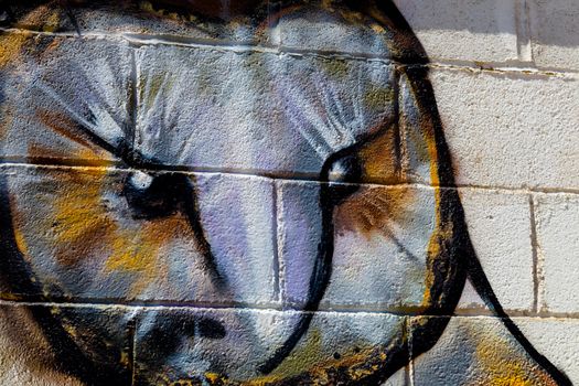 PUERTO REAL, CADIZ, SPAIN-JUL 15: Graffiti of unidentified artist on the first tournament of Graffiti of Puerto Real on Jul 15, 2011, in Puerto Real,  Spain