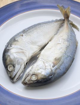 mackerel is a basic food of the thai people.