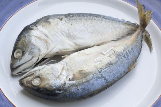 mackerel is a basic food of the thai people.