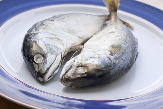 mackerel is a basic food of the thai people.