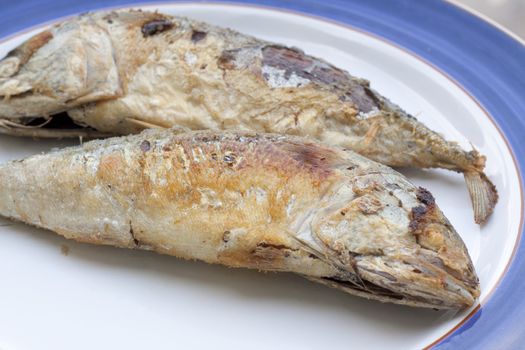 mackerel is a basic food of the thai people.