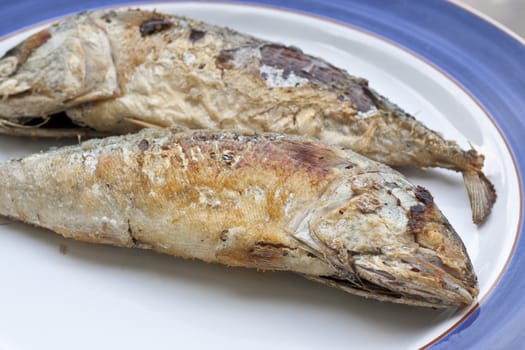 mackerel is a basic food of the thai people.