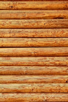 Background wood brown texture with natural patterns