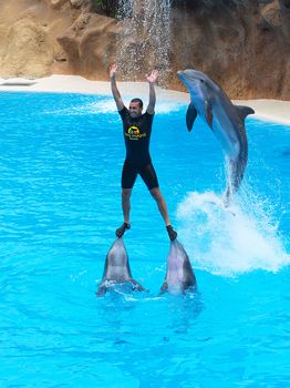 PUERTO DE LA CRUZ, TENERIFE - JULY 4: Dolphin show in the Loro Parque, which is now Tenerife's largest man made attraction with europe's biggest dolphin pool. July 4 2012 Puerto De La Cruz, Tenerife