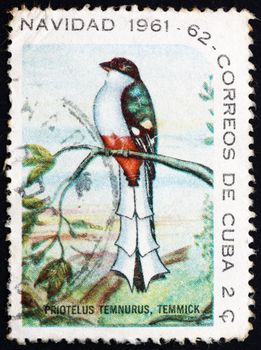 CUBA - CIRCA 1961: a stamp printed in the Cuba shows Cuban Trogon, Priotelus Temnurus, Bird, circa 1961