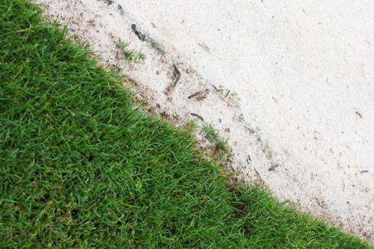 Green grass and sand traps on the golf course.