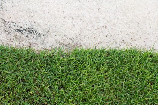 White sand trap on the green grass on a golf course.