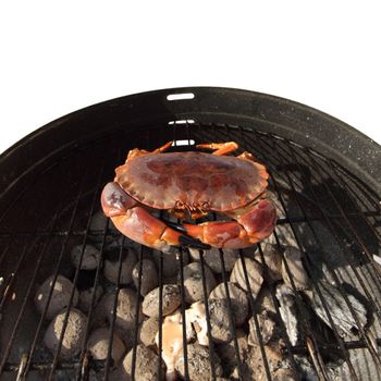 crab on charcoal grill
