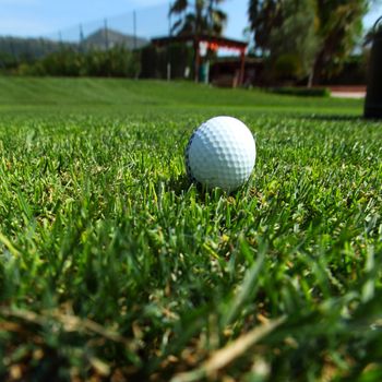 golf-ball on course