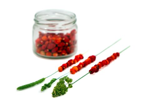 Wild forest strawberries in pot and string on bent wisp isolated on white background.