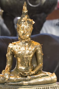 Buddha Image Covered with Gold Leaves