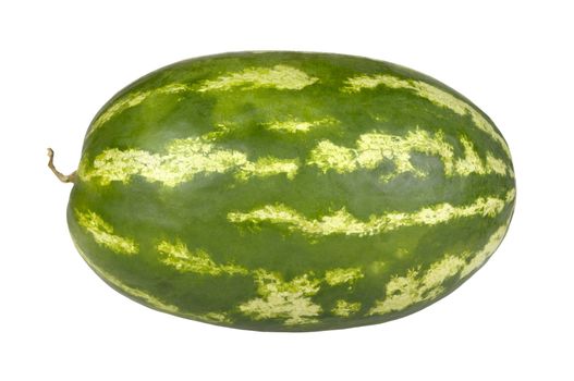 Long watermelon