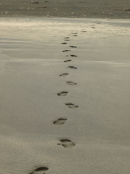 Shoeprint on the Black sand beach of New Zealand