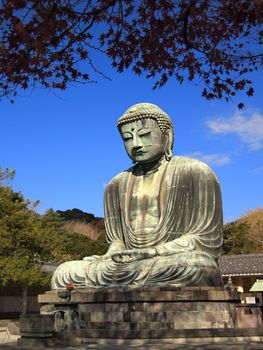 Daibutsu, the giant buddha statue in autumn at Kamakura city, Japan.